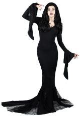 Morticia Gothic Trumpet Sleeve Dress Black V Neck Back Zip Fastening Halloween Costume